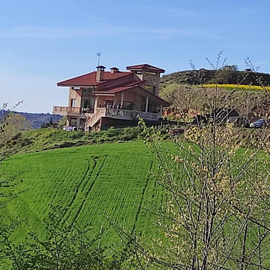 Villa Flavina *